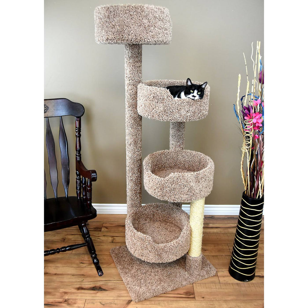 Beige Cat Condo B29736
