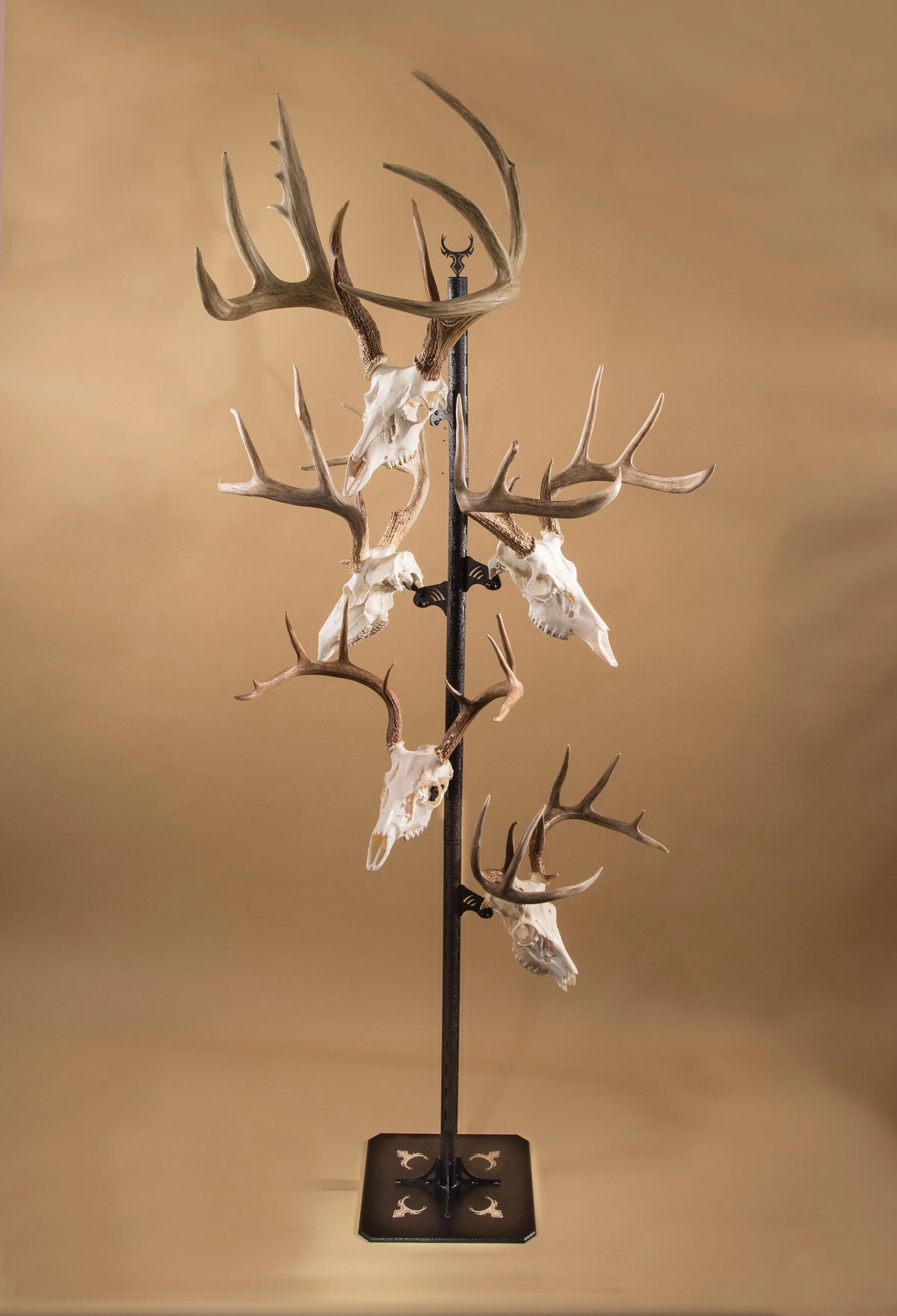Black Trophy Tree Floor Display with 5 Mounting Brackets Q6724