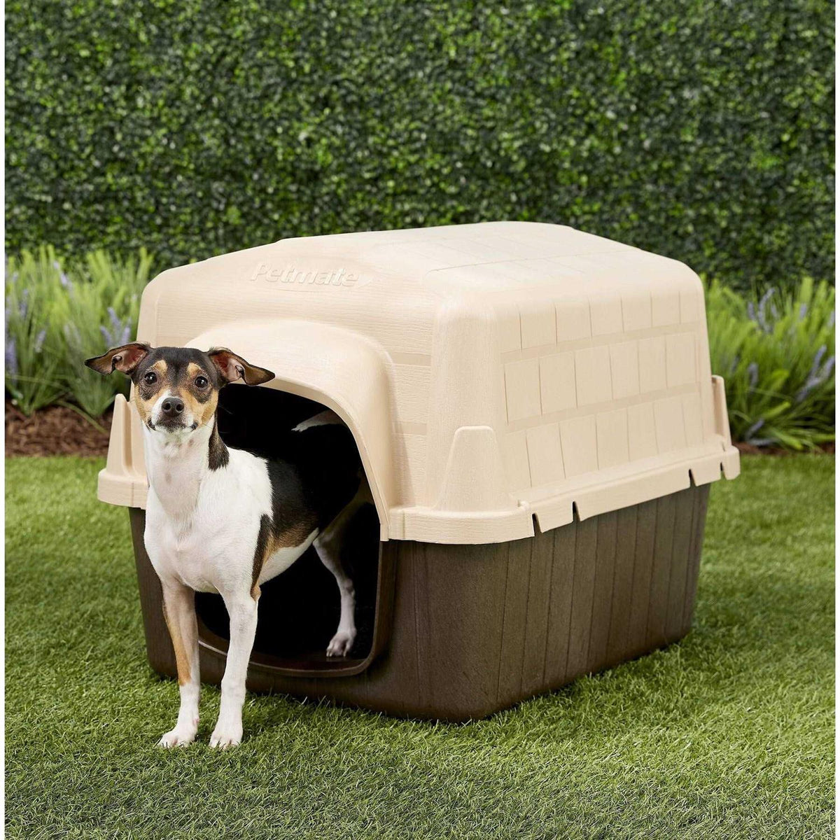 Dog House W4049
