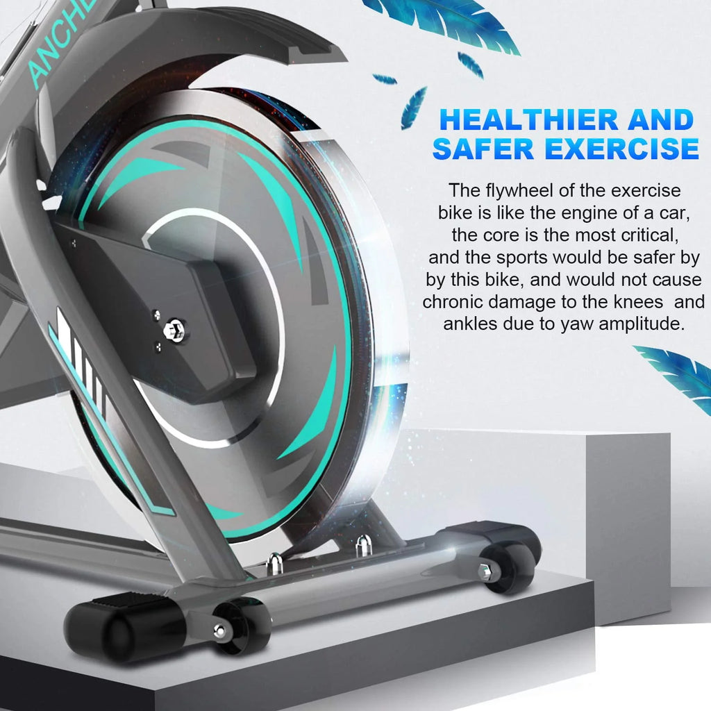 Indoor Exercise Bike with LCD Monitor and 330 lbs Weight Capacity R149