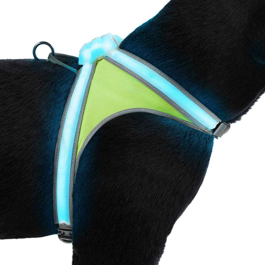 LED Reflective Dog Harness K78192