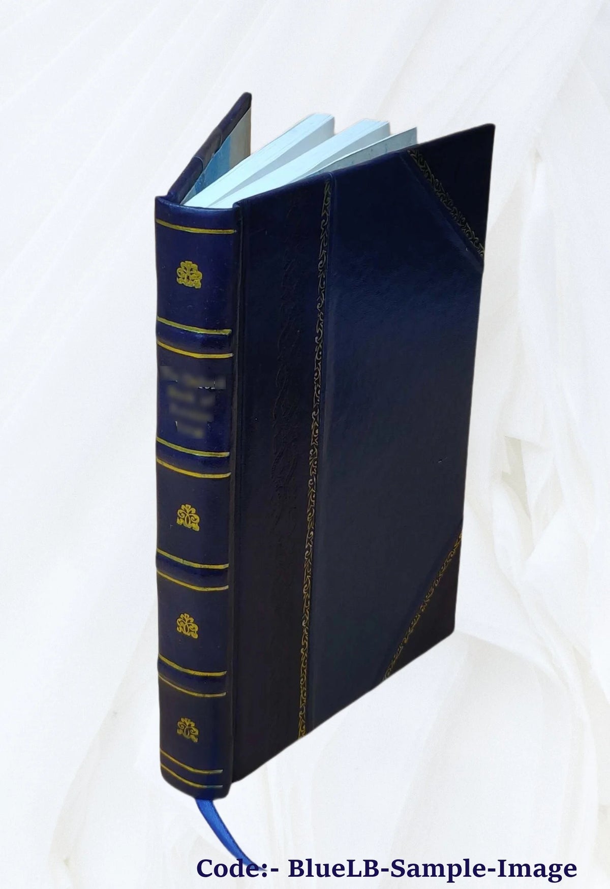 Leather Bound Book I4229