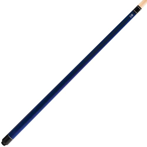 Pool Cue with Soft Case L82349