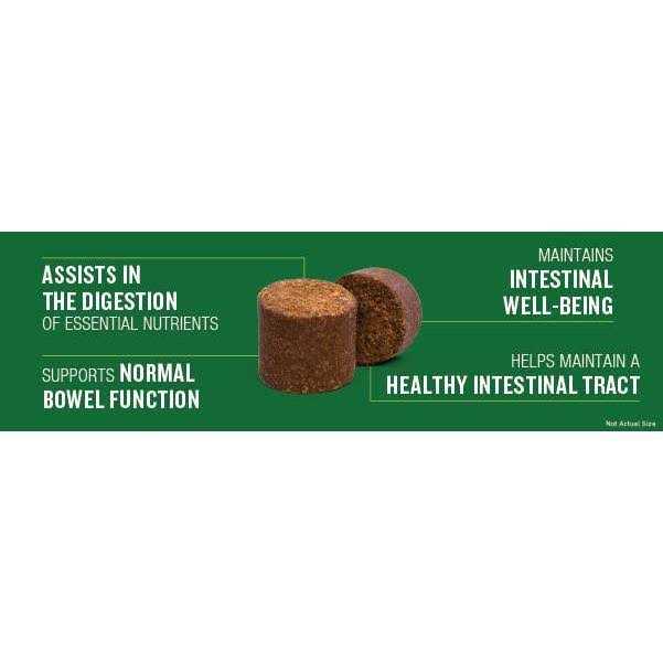 Probiotic Soft Chew Supplement for Dogs K84953