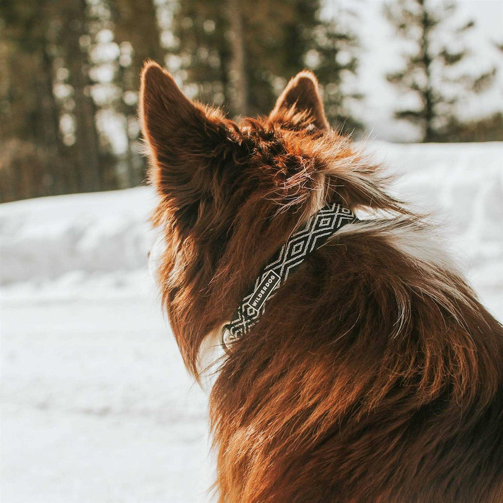 Ultralight Collar F5536