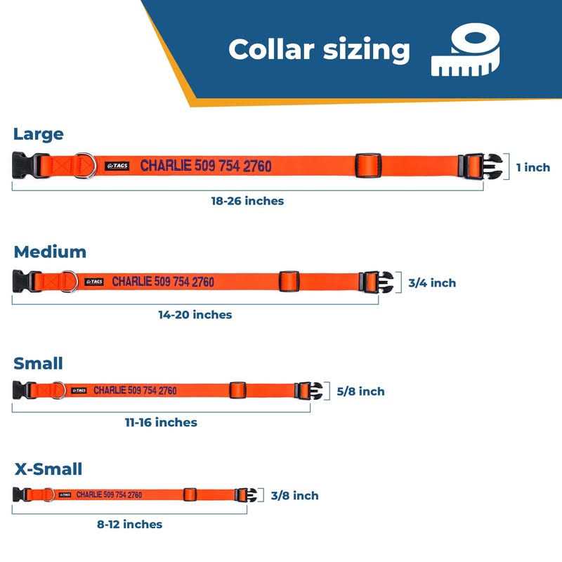 Personalized Dog Collar N641809