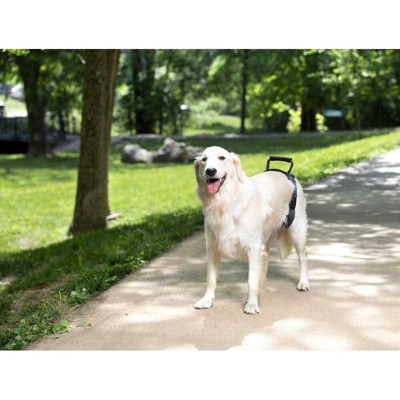 Dog Rear Harness R543