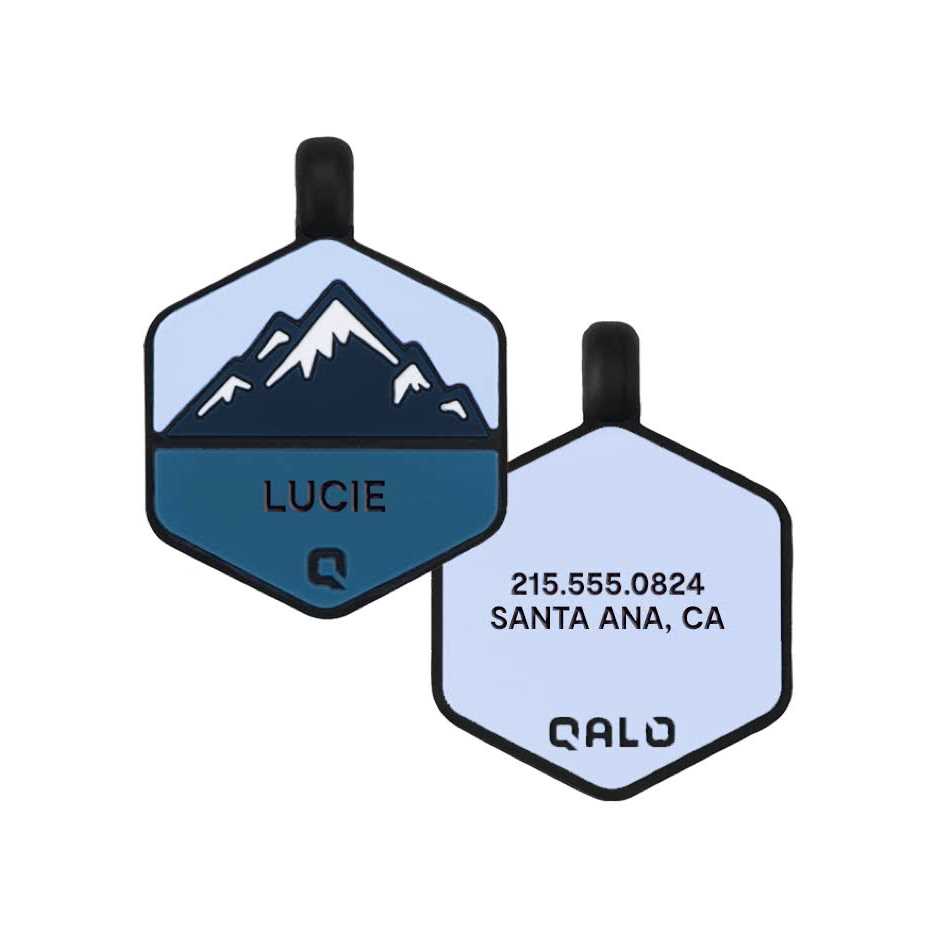 Silicone Dog ID Tag A4654