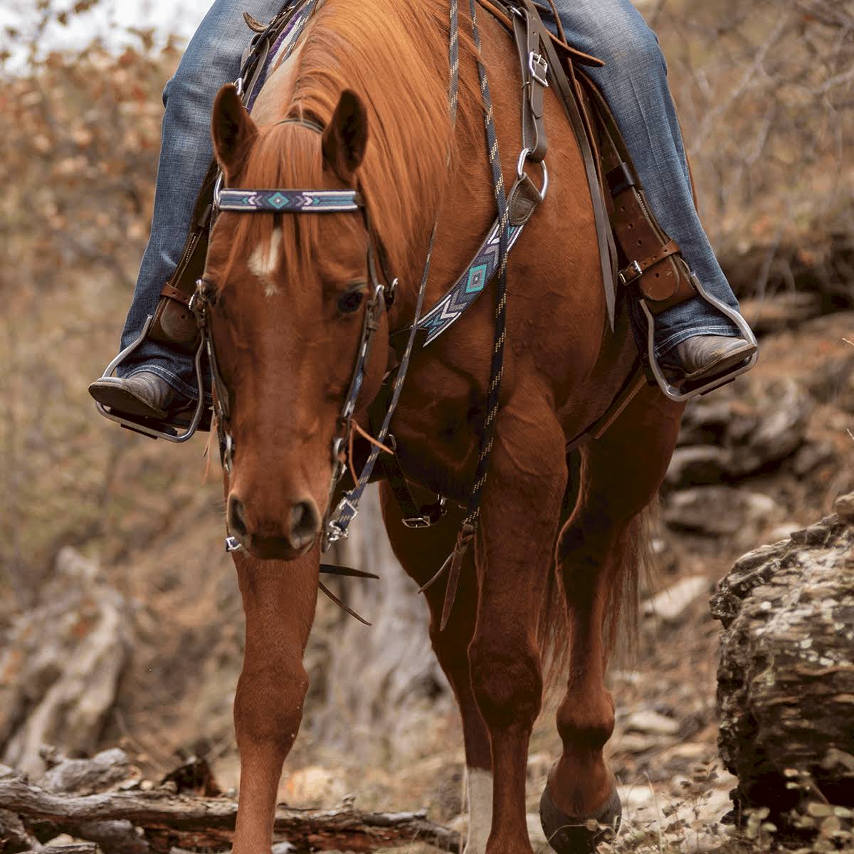 Beaded Ear Headstall M452722