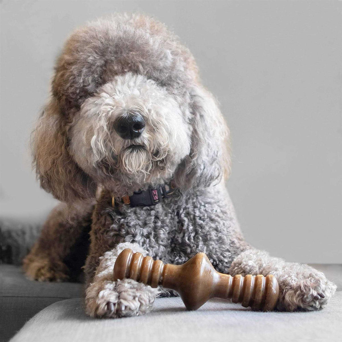 Chicken Dog Chew Toy L944331