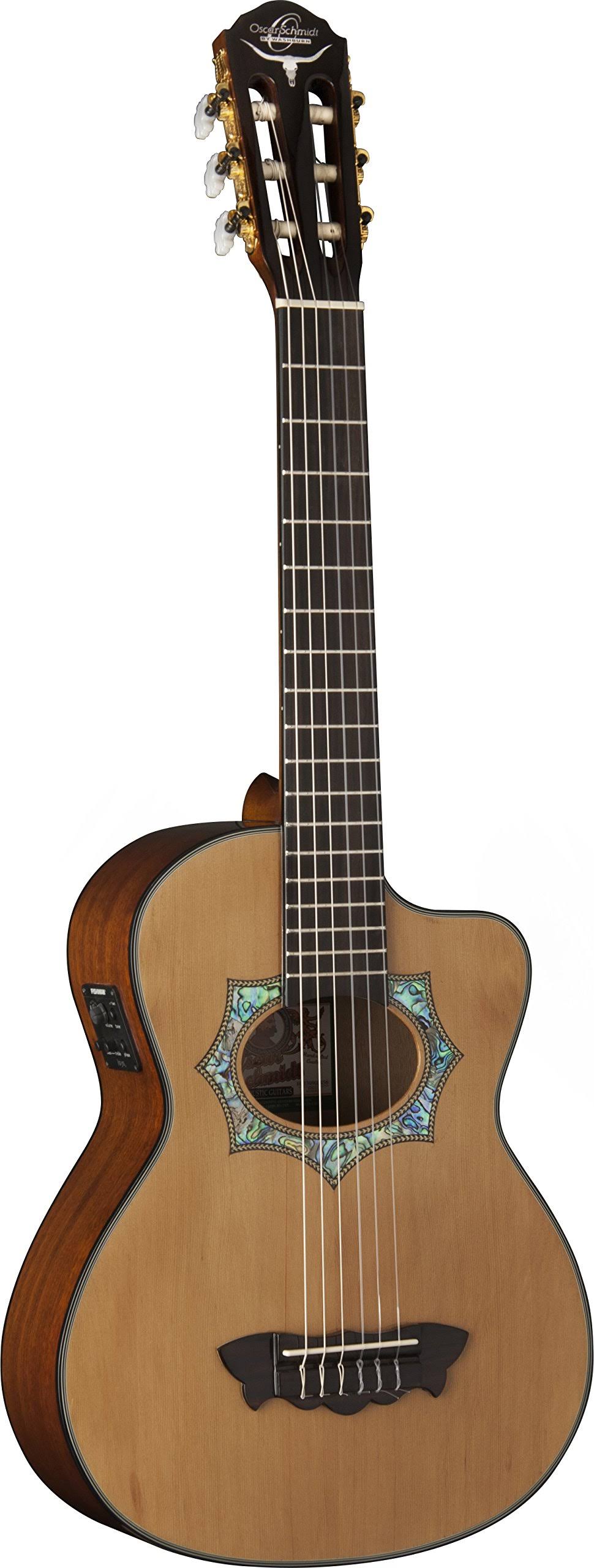 Acoustic Electric Requinto Guitar Q885
