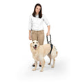 Dog Rear Harness R543