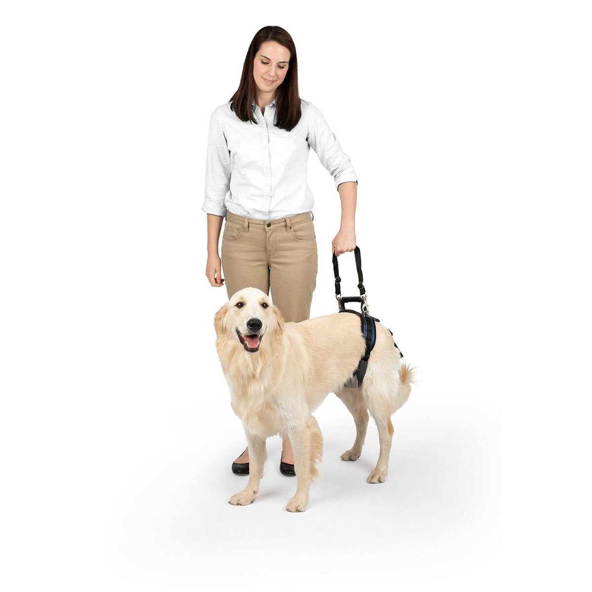 Dog Rear Harness R543