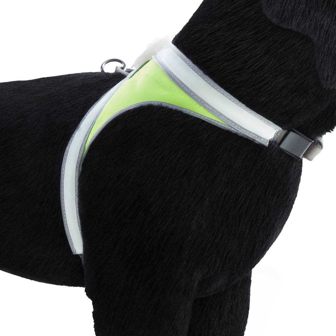 LED Reflective Dog Harness K78192