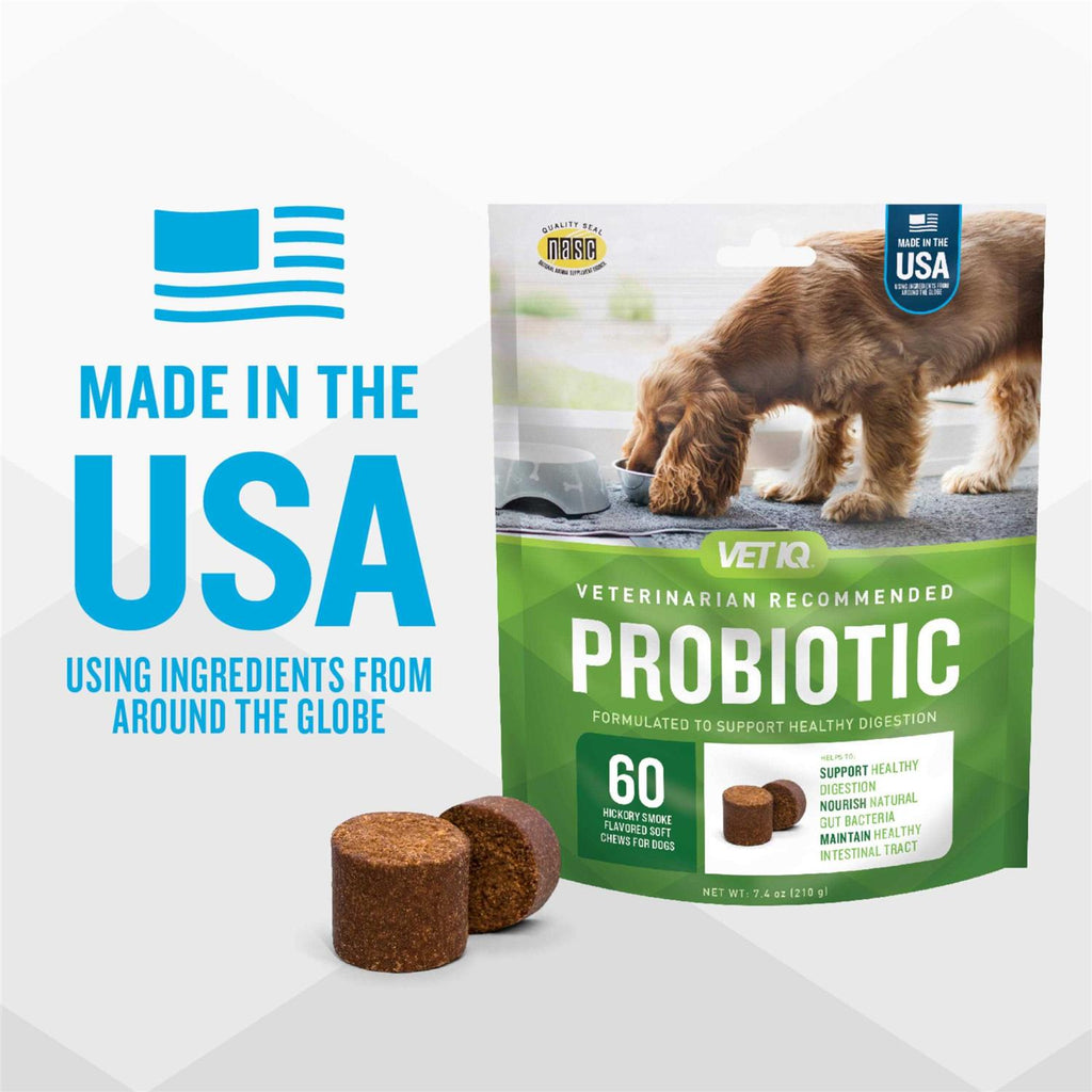Probiotic Soft Chew Supplement for Dogs K84953