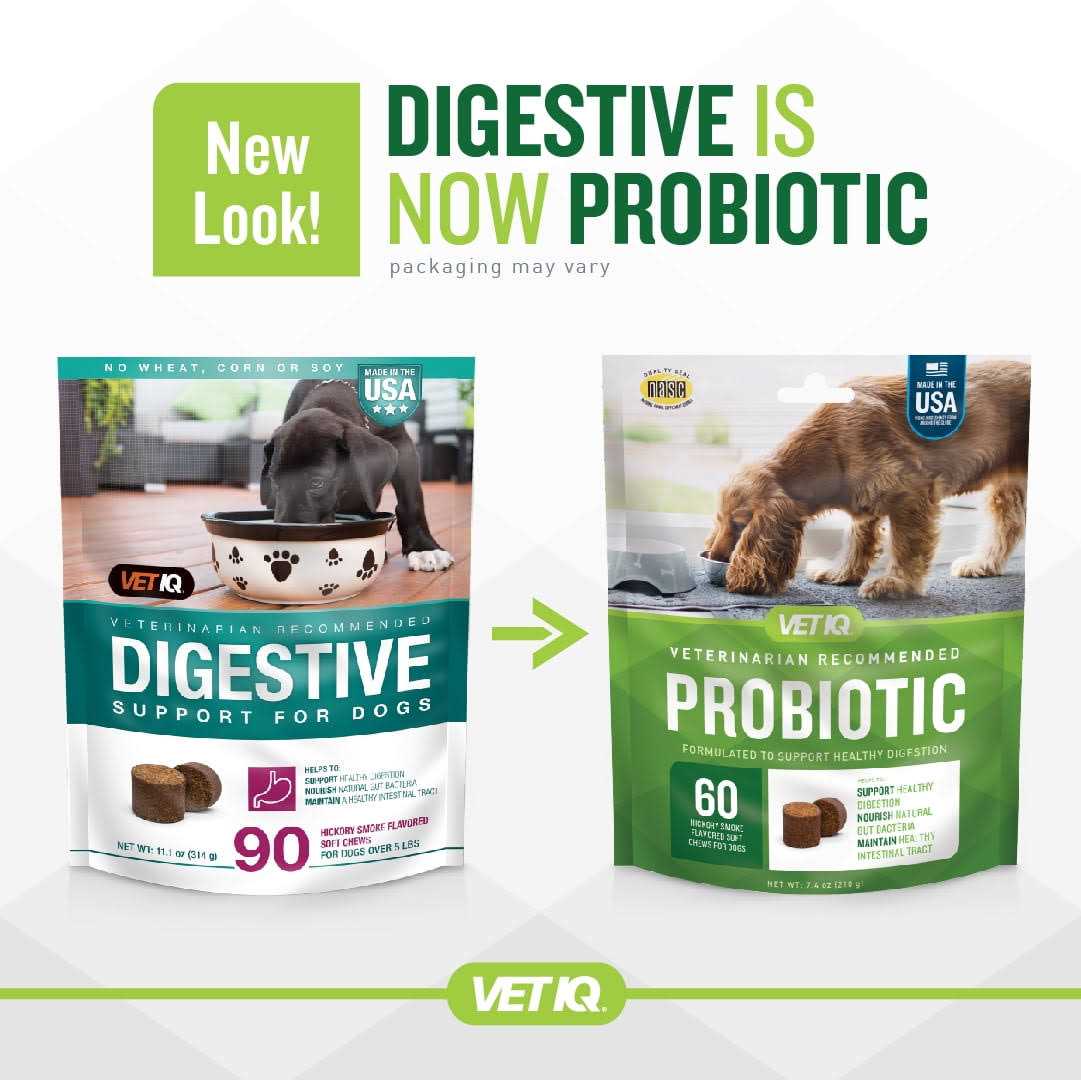 Probiotic Soft Chew Supplement for Dogs K84953
