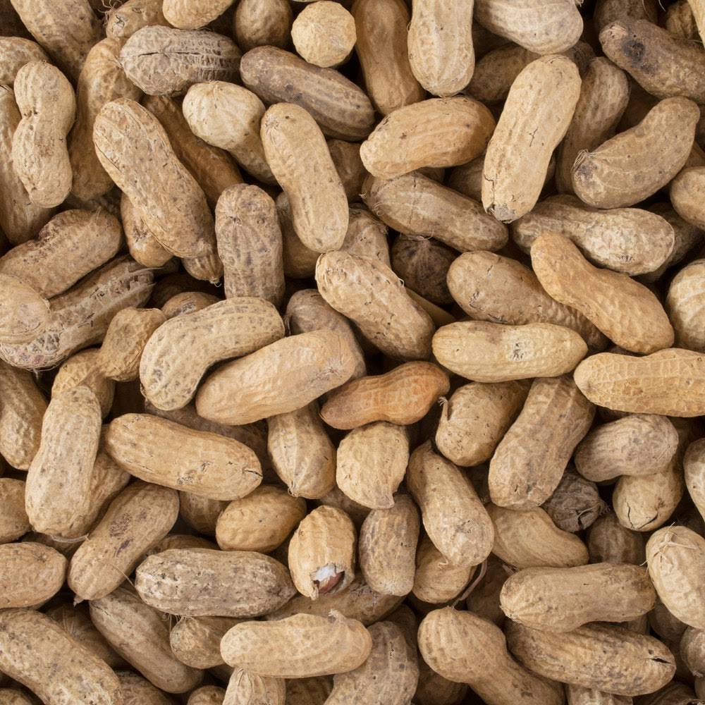 25 lb. Roasted Unsalted In-Shell Peanuts K16578