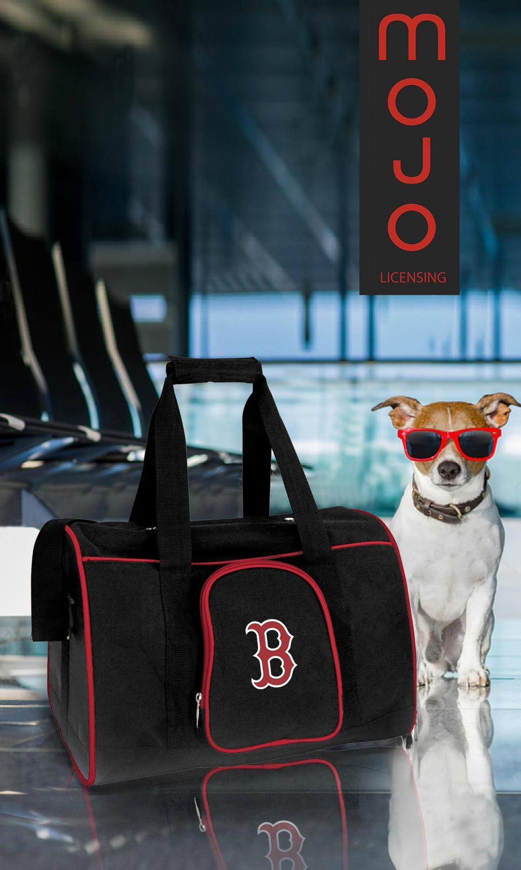 Premium Pet Carrier I809890