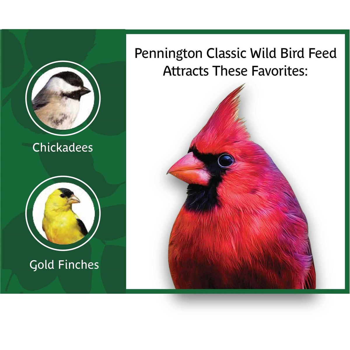 Classic Wild Bird Feed and Seed Q40388
