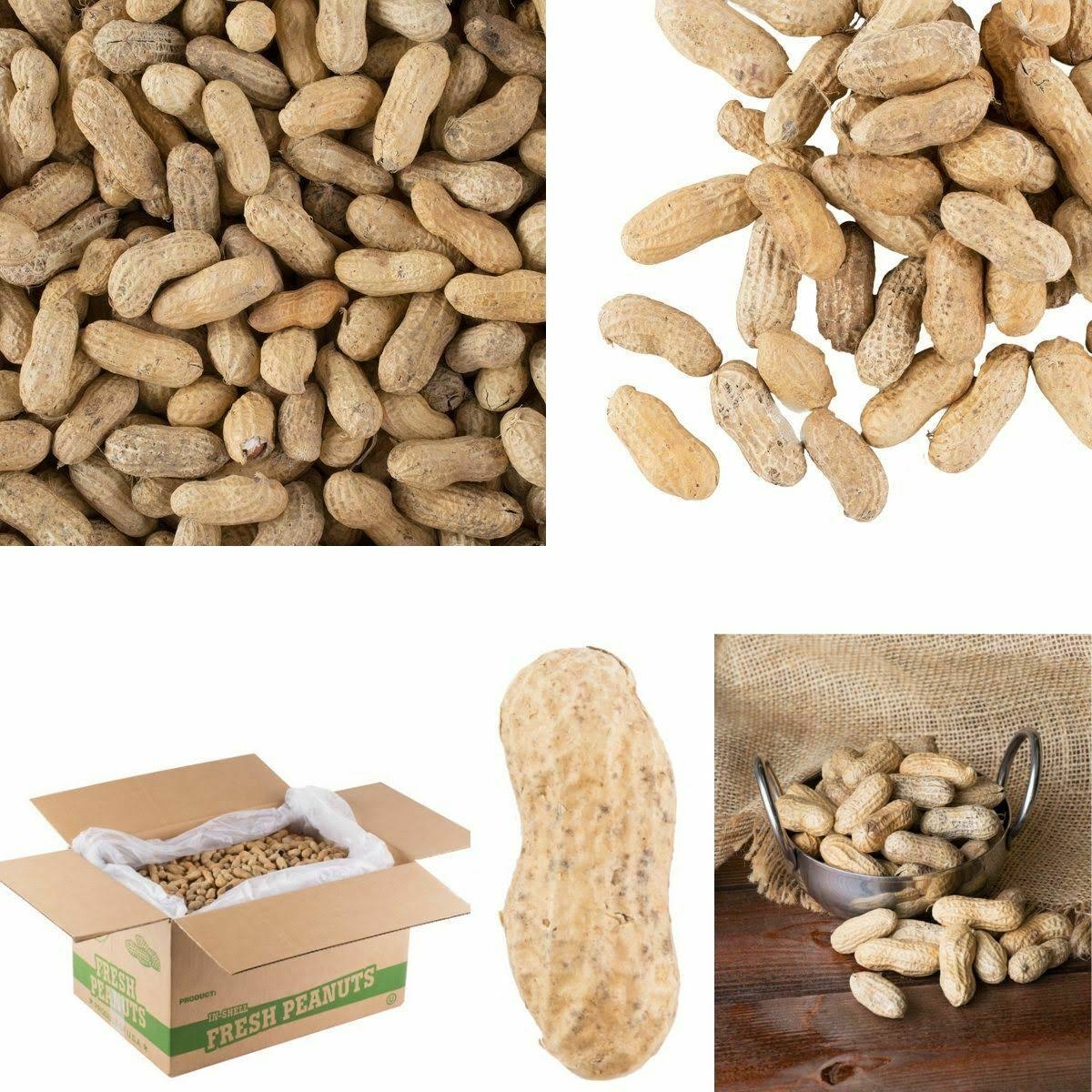 25 lb. Roasted Unsalted In-Shell Peanuts K16578