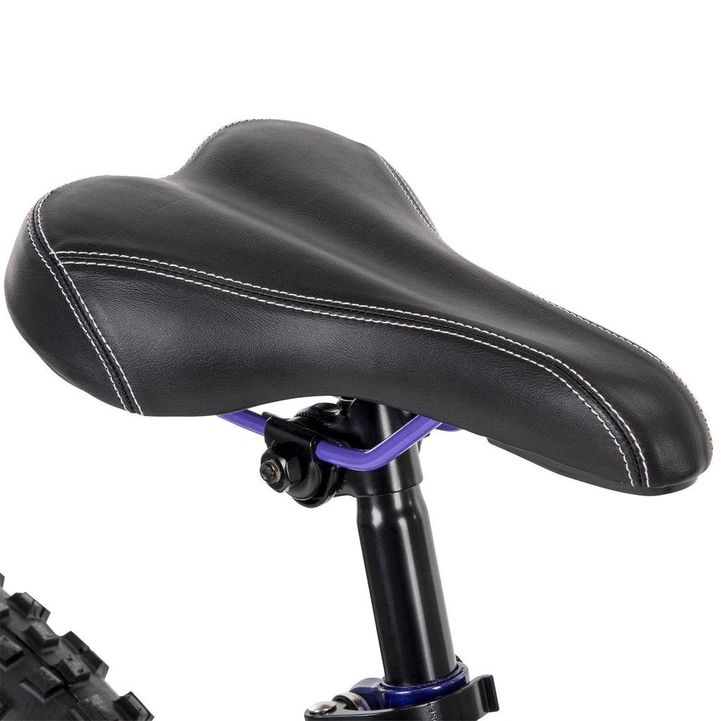 24-inch 18-speed Purple Mountain Bike F761