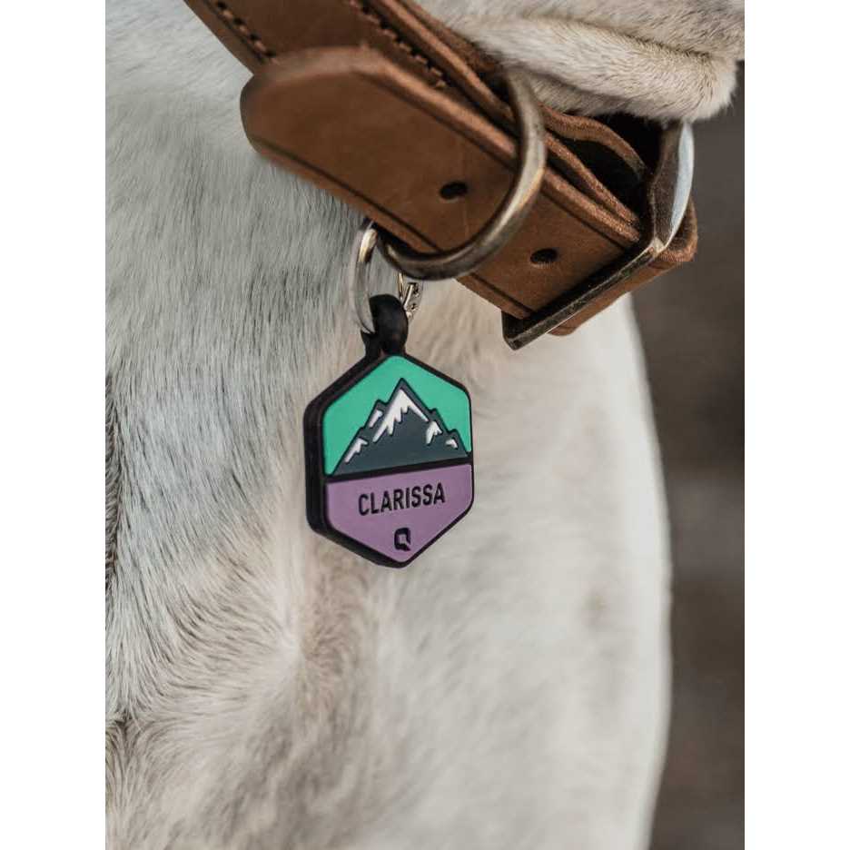 Silicone Dog ID Tag A4654