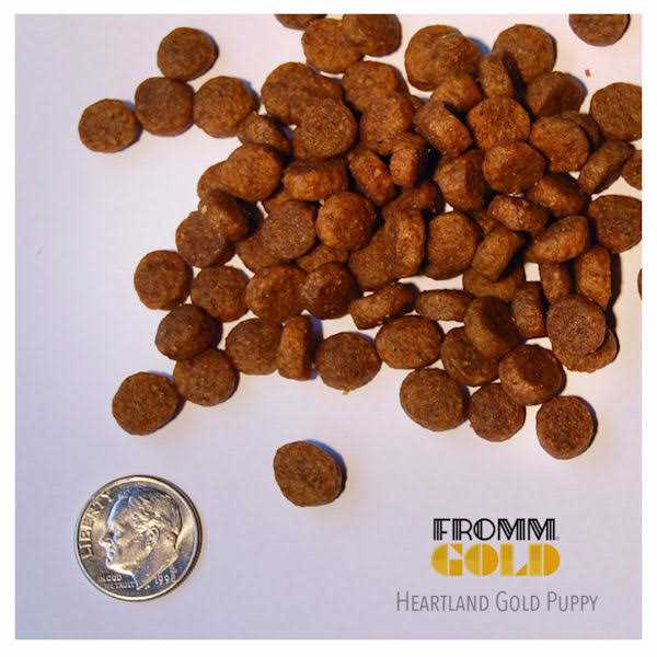 Dry Dog Food S39872