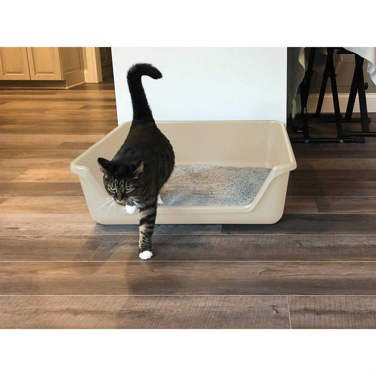 Senior Cat Litter Box B2464