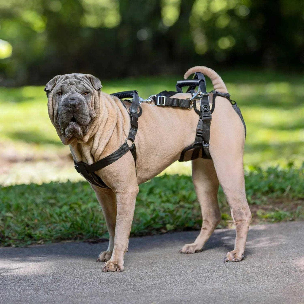 Dog Rear Harness R543