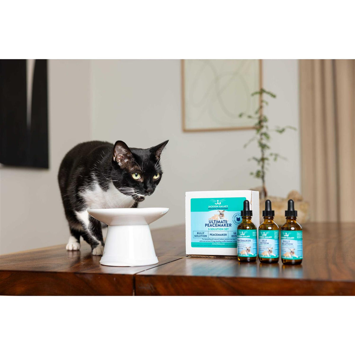 Pet Supplies X214