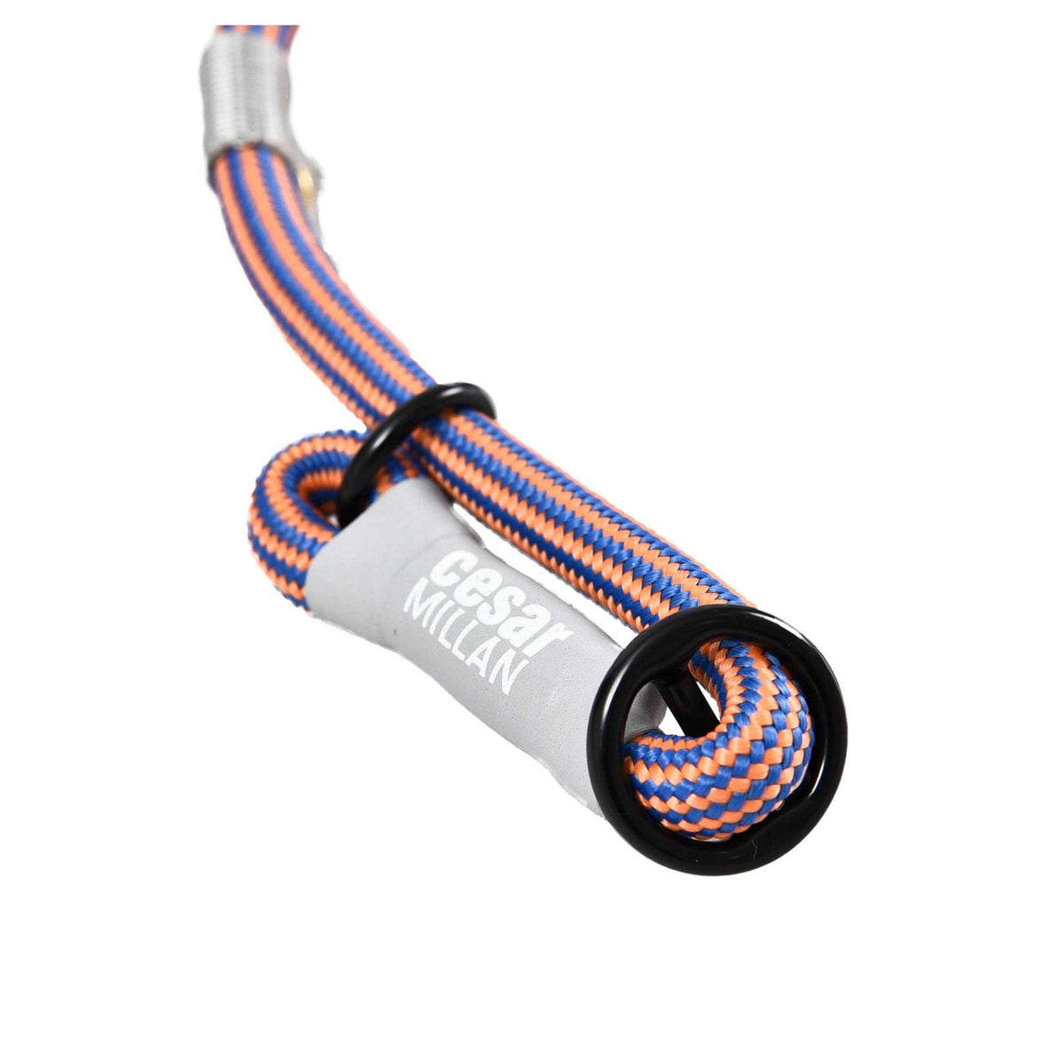 2-in-1 Slip Collar Dog Training Lead & Collar V8163
