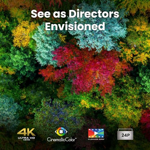 4K Home Theater Projector B908140