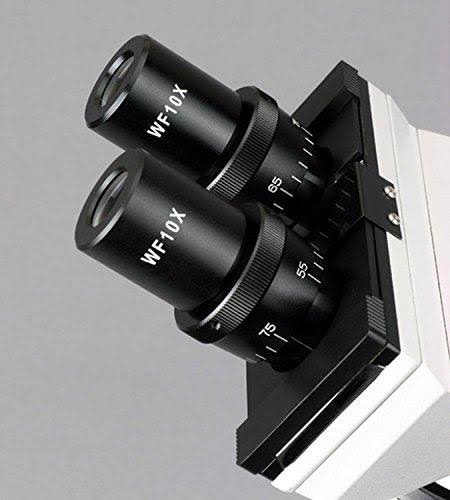 White Binocular Biological Microscope 40X-2500X with Slide Preparation Kit W400757