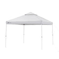 10' x 10' Dual Peak Canopy A203828