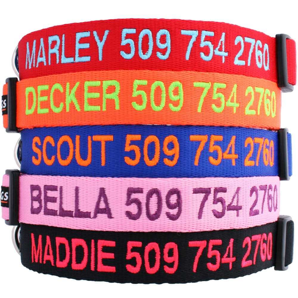 Personalized Dog Collar N641809