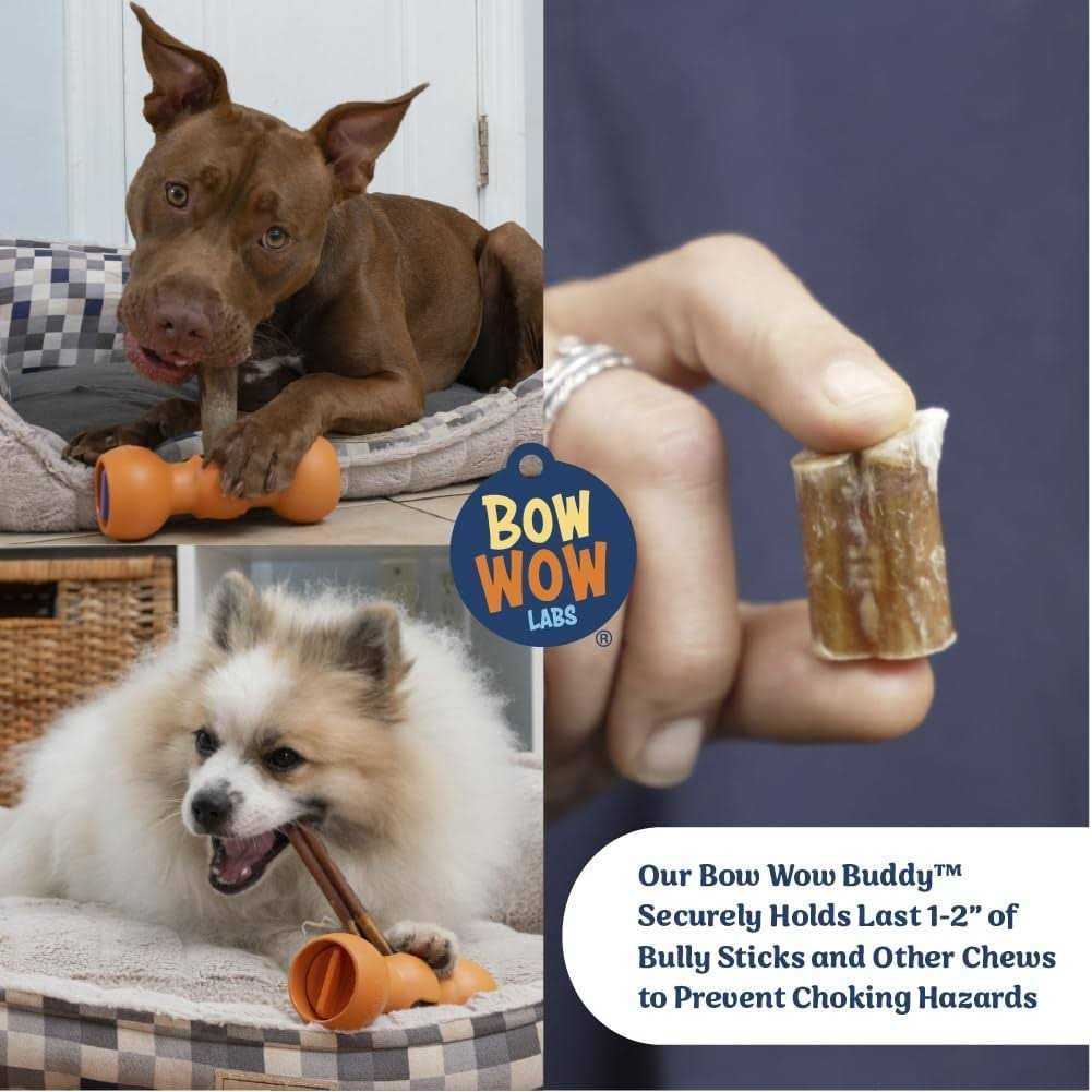Bully Stick Holder for Dogs Starter Kit S77056