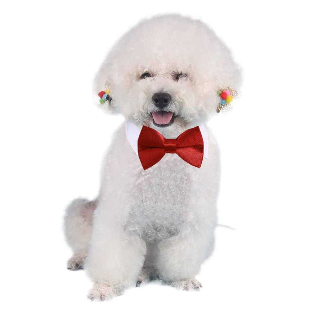 Adjustable Pet Bowtie Collar R187