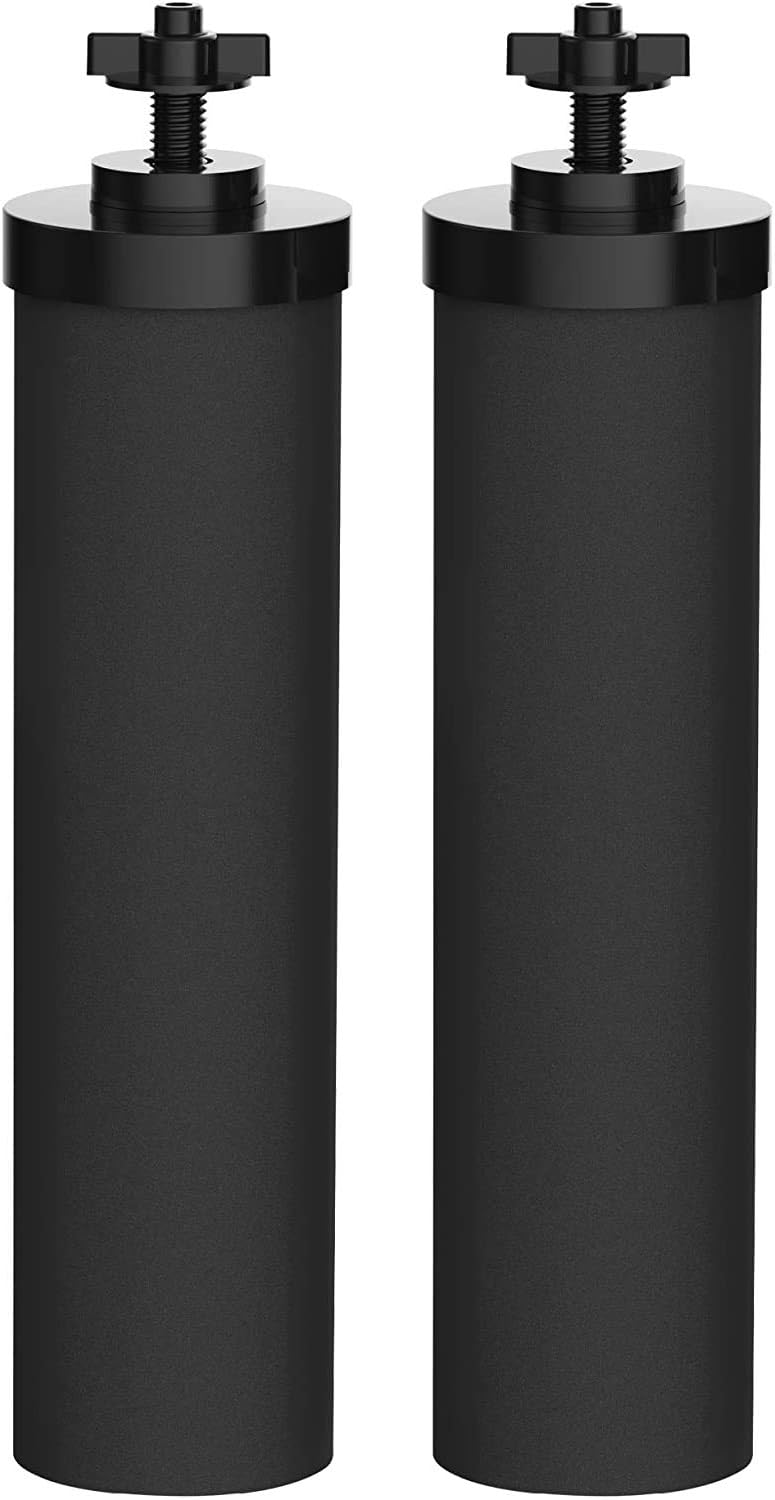 2 Filters Water Filter Cartridge V427
