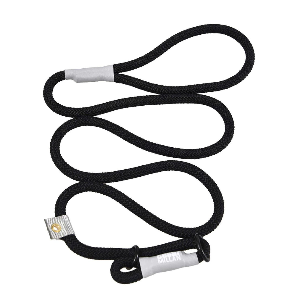 2-in-1 Slip Collar Dog Training Lead & Collar V8163