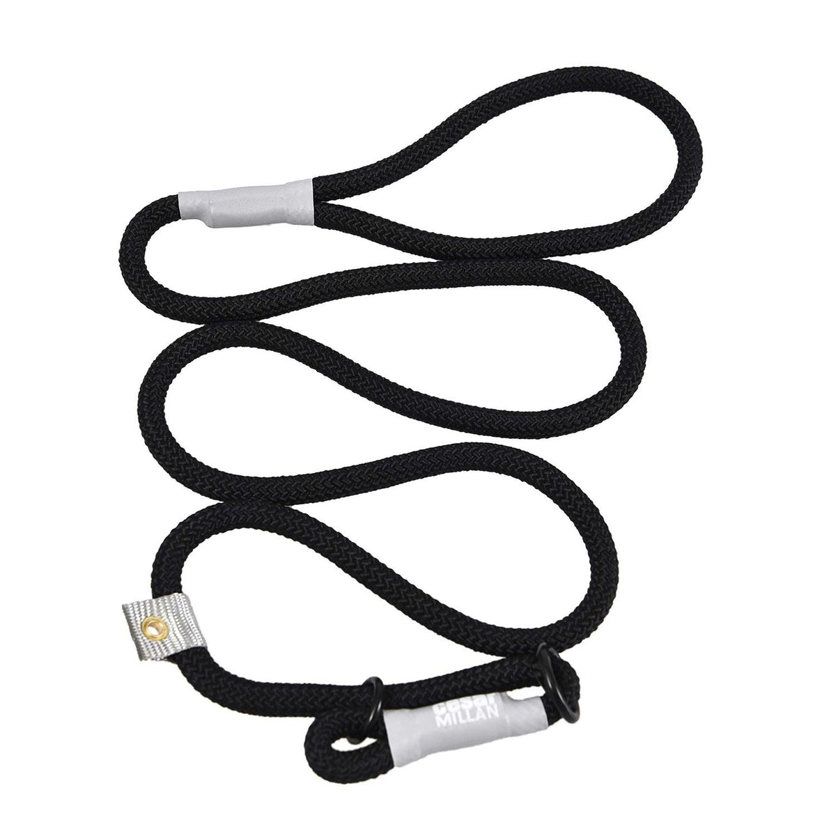 2-in-1 Slip Collar Dog Training Lead & Collar V8163