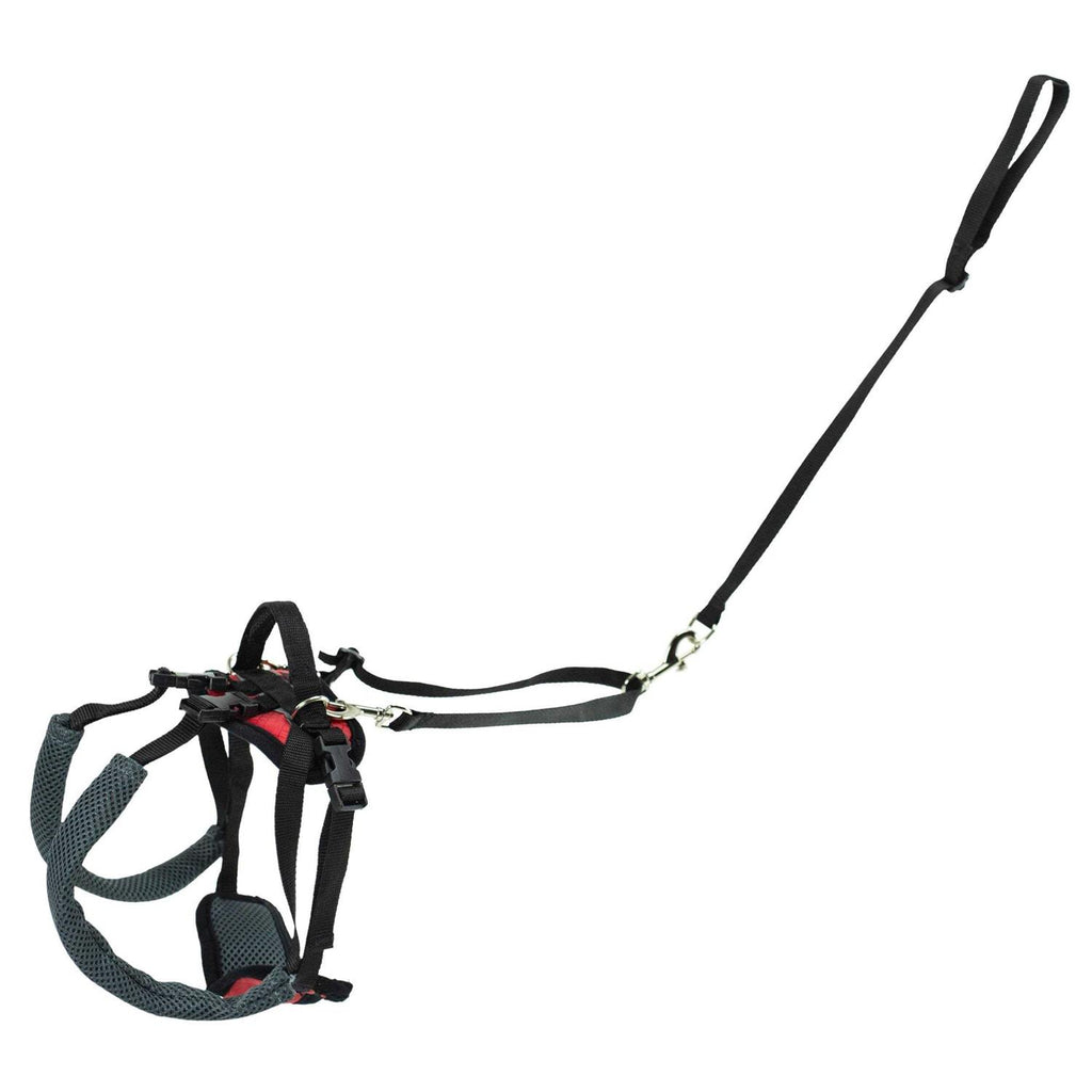 Dog Rear Harness R543