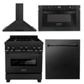30 in. Black Stainless Steel Gas Range, Range Hood, Microwave Drawer and Dishwasher E1200