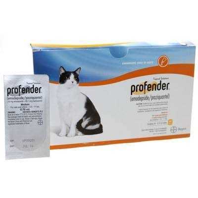 Medium Cats 5.6-11lbs B2678