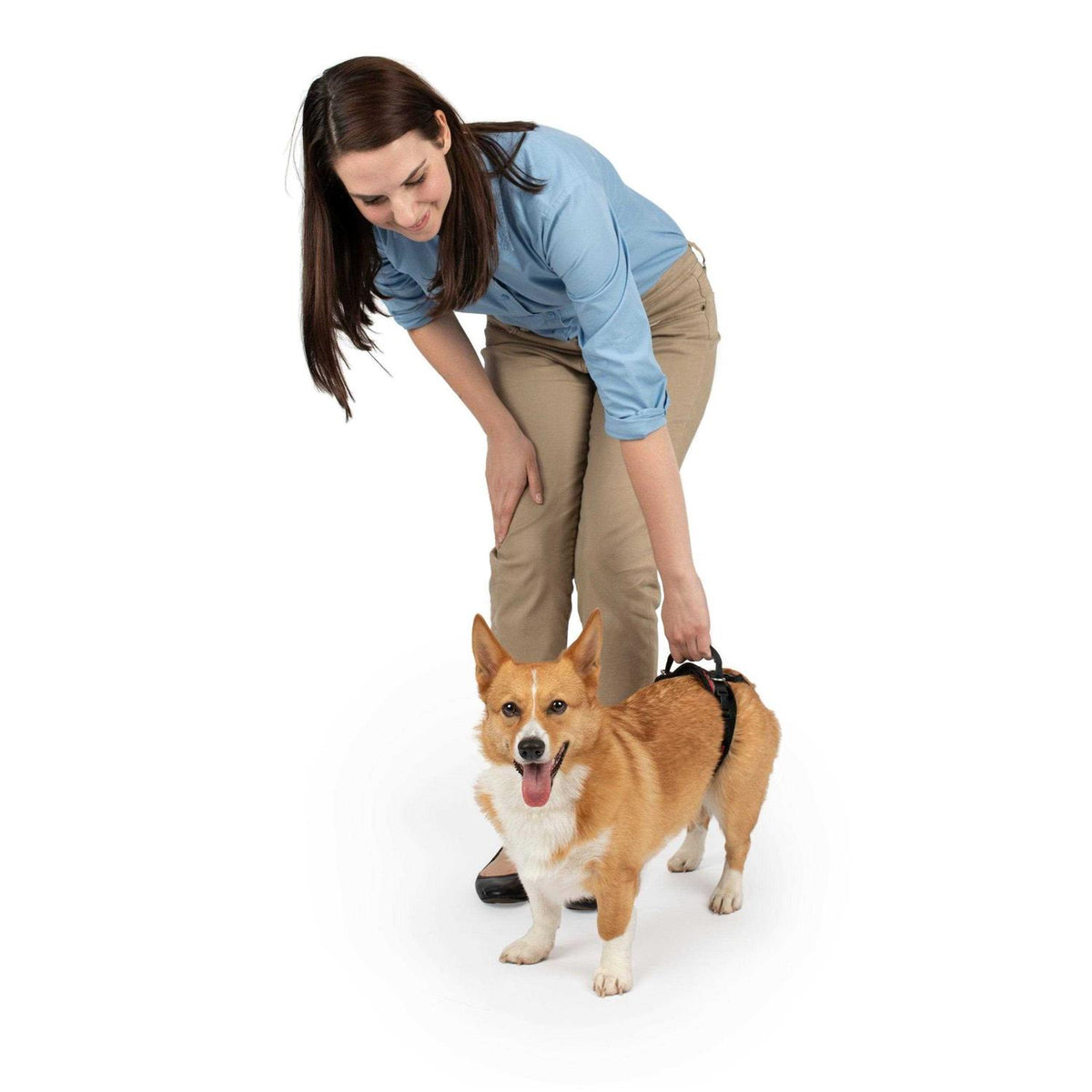 Dog Rear Harness R543