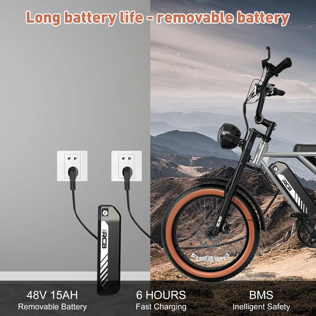 750W 48V 15Ah Electric Bike with 20 4.0 Fat Tire T476