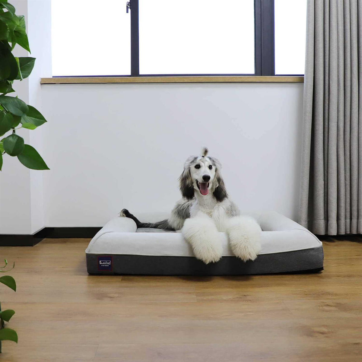 Large Dog Bed Orthopedic Memory Foam H914594