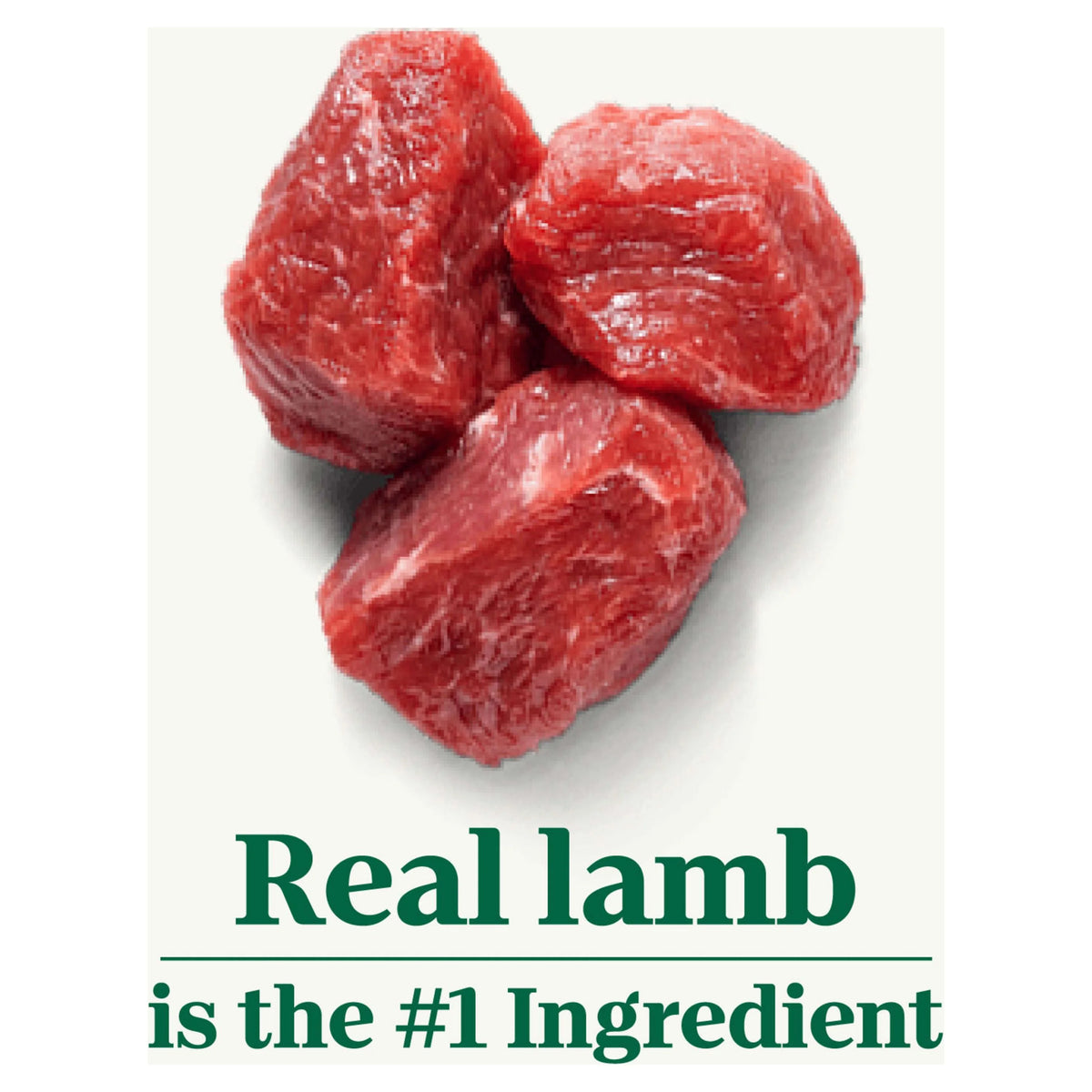 Lamb & Brown Rice Large Breed Adult Dry Dog Food 20 lb V520