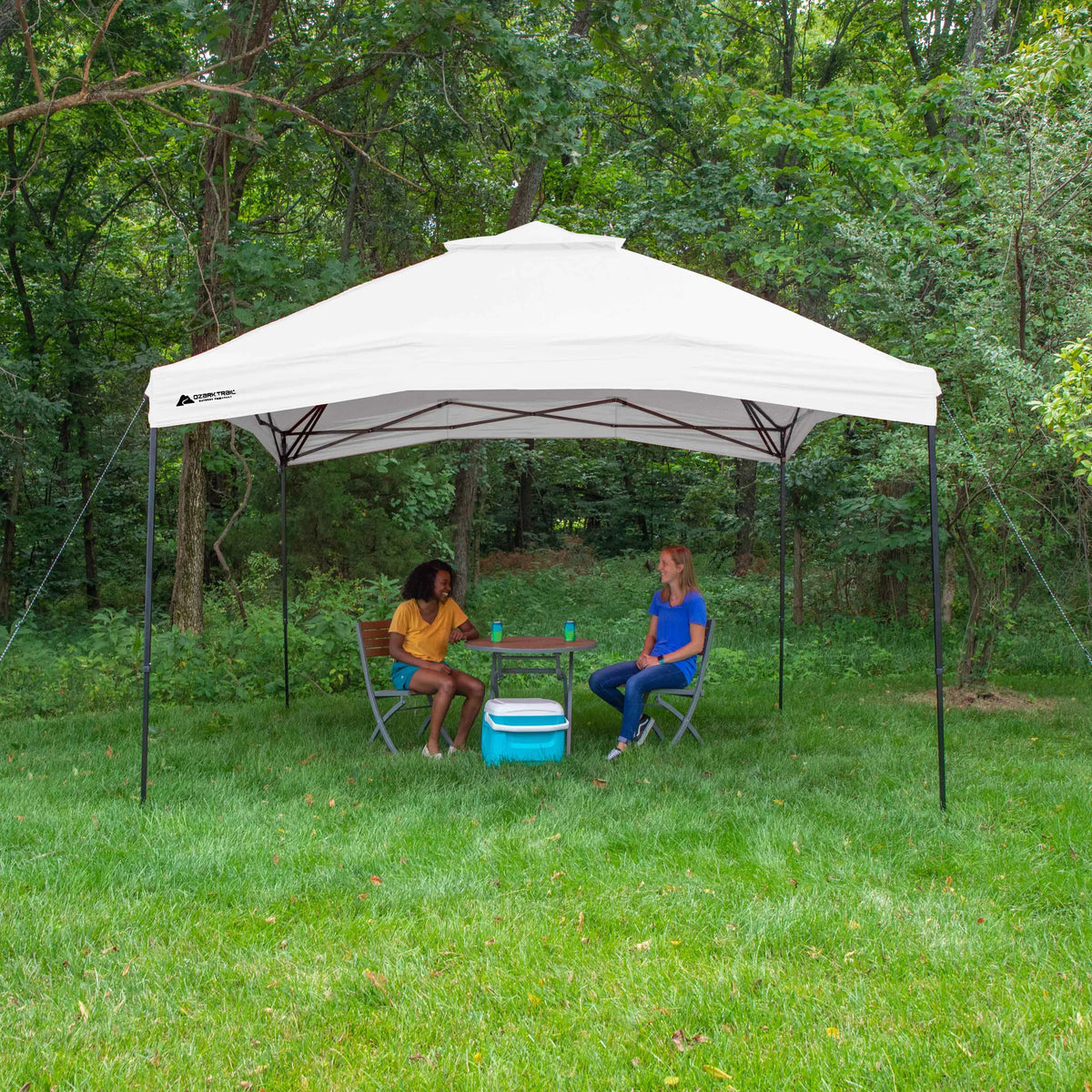 10' x 10' Dual Peak Canopy A203828