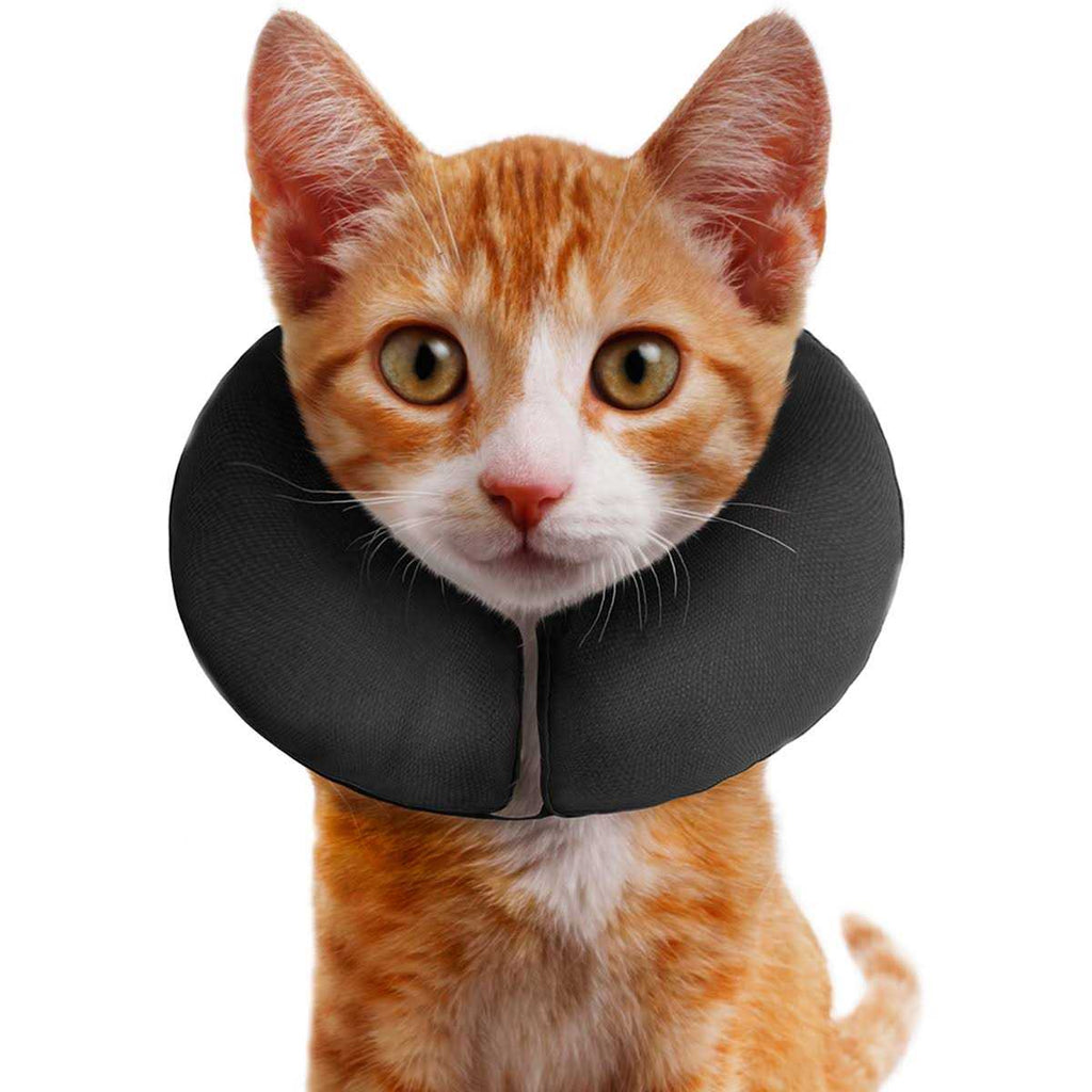 Inflatable Recovery Collar N448