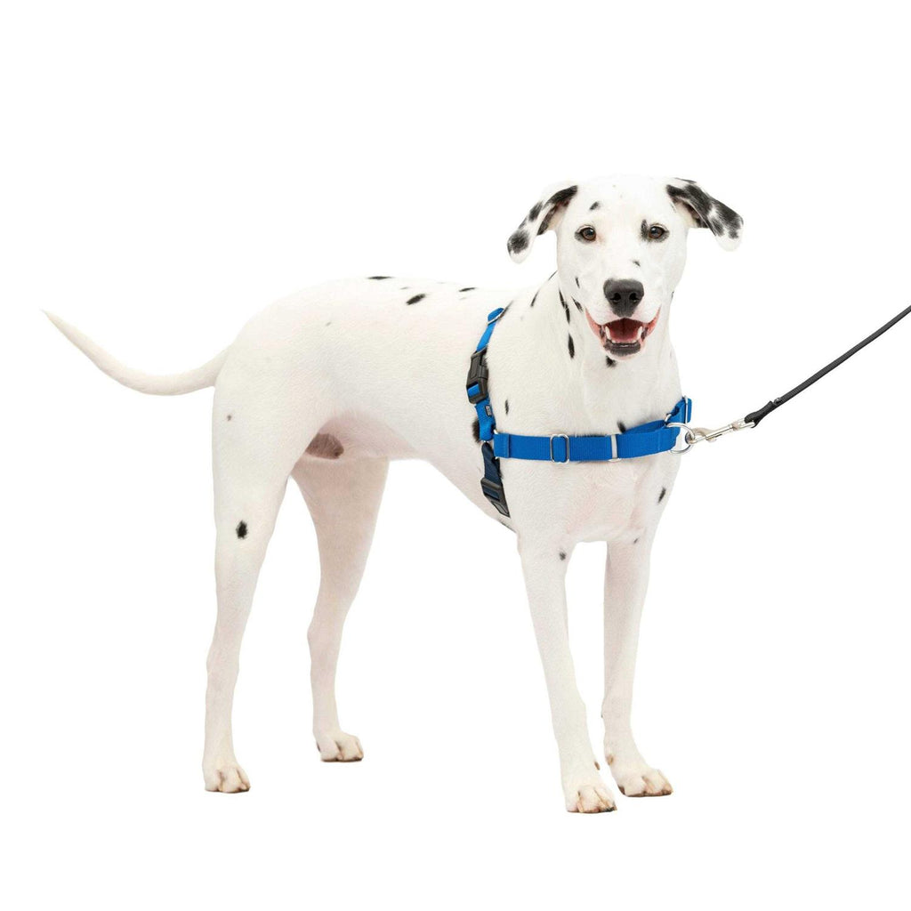 Easy Walk Dog Harness D685066